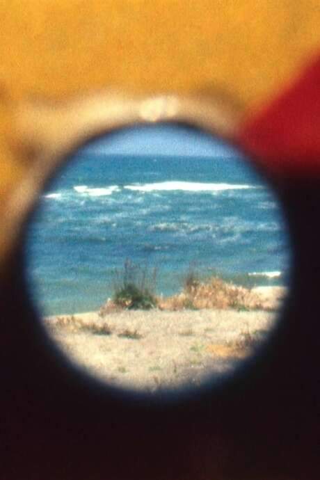 New Shores
